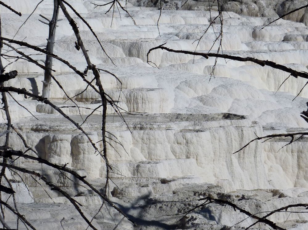 Yellowstone Mammoth Hotsprings (69).JPG